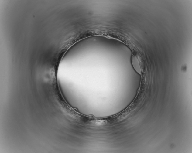 X0000090460711200707272237
