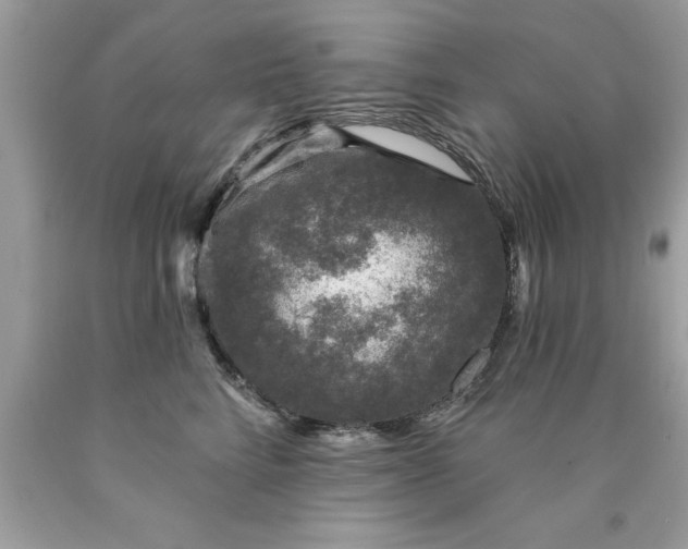 X0000090460712200707272237