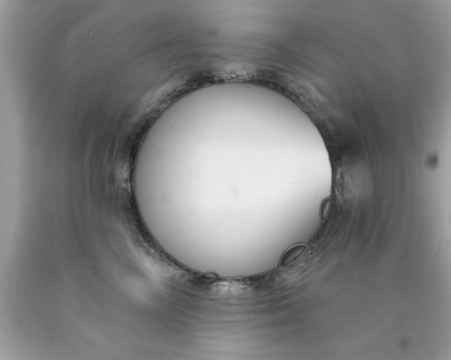 X0000090460714200707272237