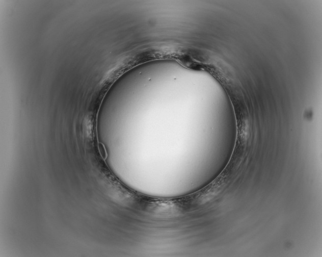 X0000090460715200707272237