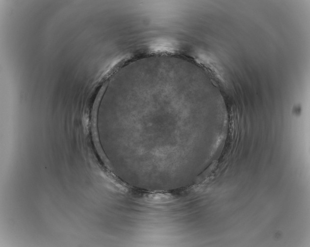 X0000090460716200707272237