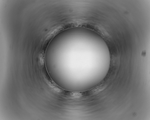 X0000090460719200707272237