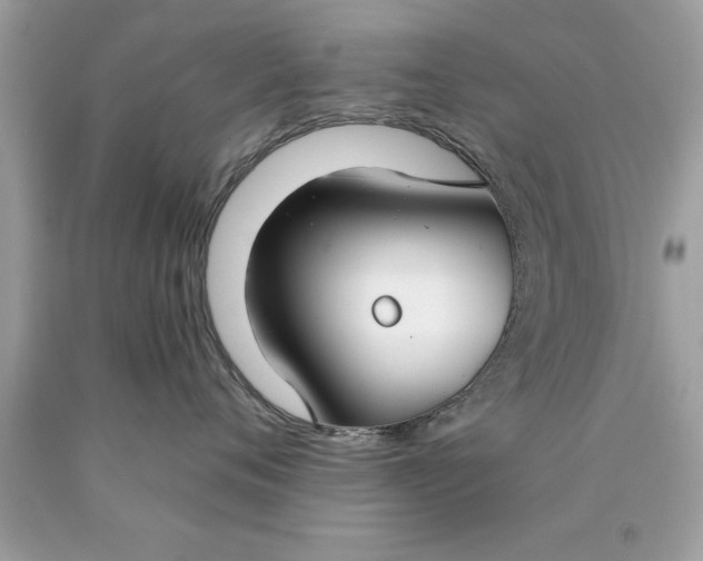 X0000090460720200707272236