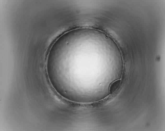 X0000090460721200707272236