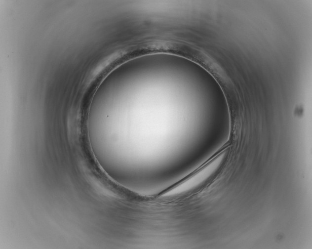 X0000090460722200707272236