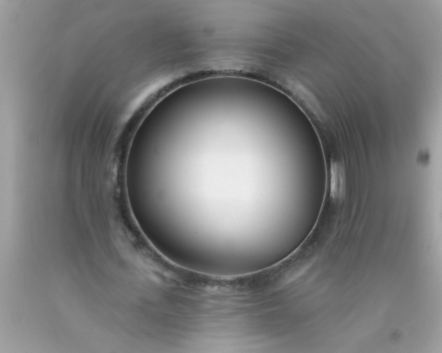 X0000090460723200707272236