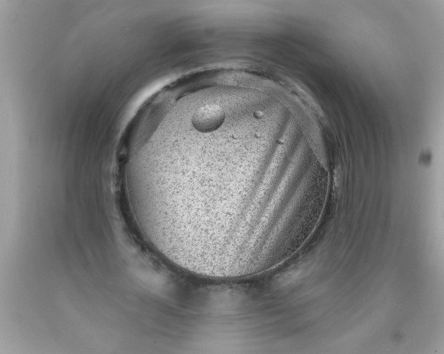 X0000090460724200707272236