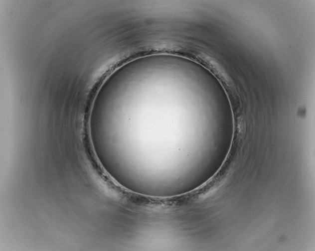 X0000090460725200707272236