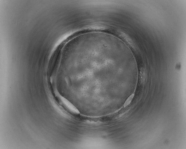 X0000090460726200707272236