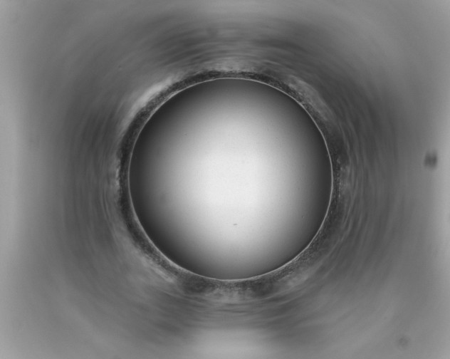 X0000090460727200707272236
