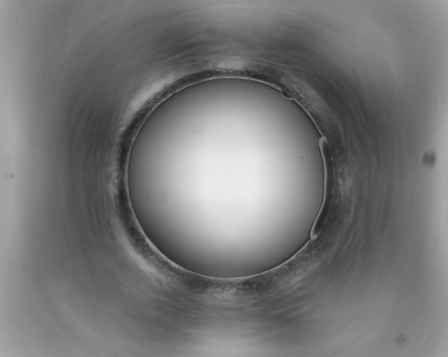 X0000090460728200707272236