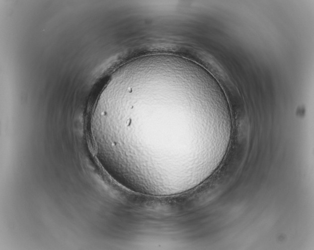 X0000090460729200707272236