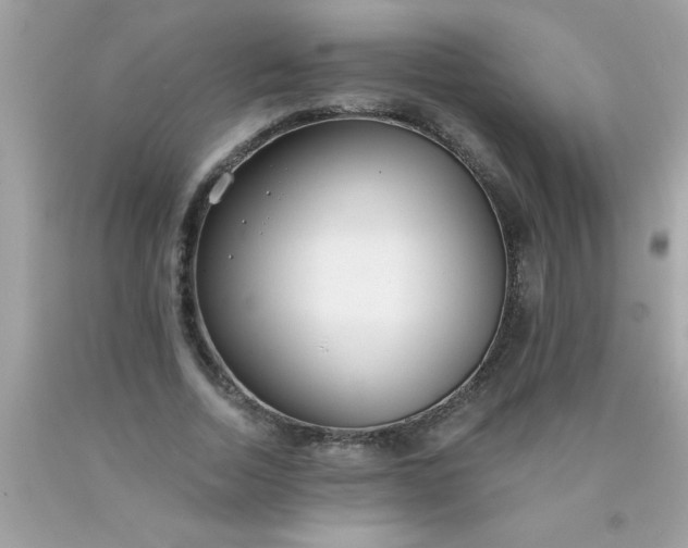 X0000090460730200707272236