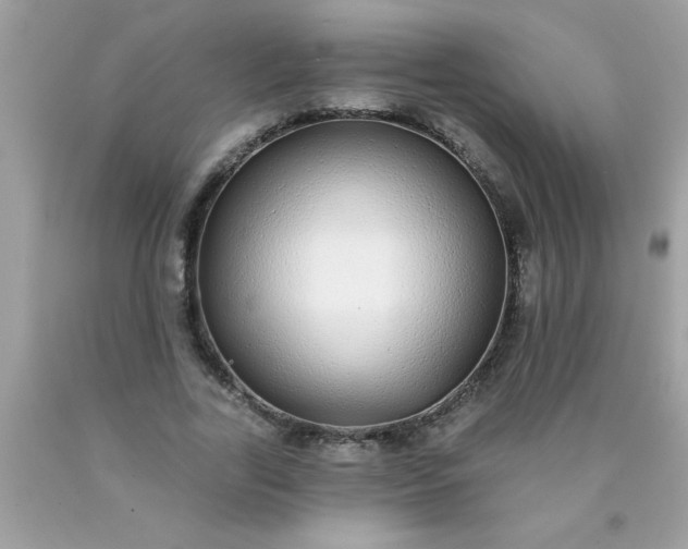 X0000090460731200707272236