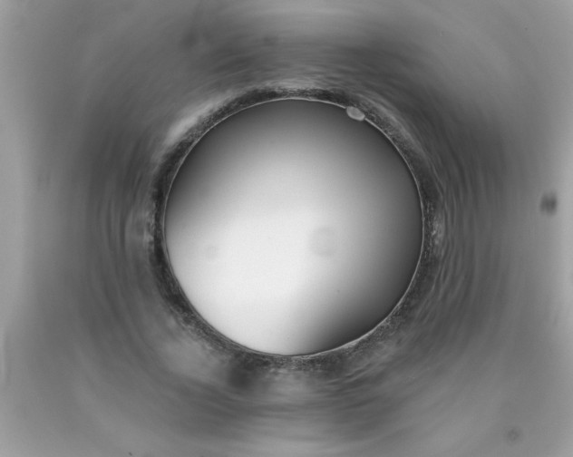 X0000090460732200707272236