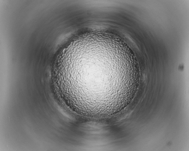 X0000090460733200707272236