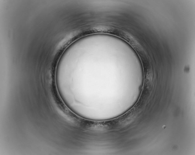 X0000090460734200707272236