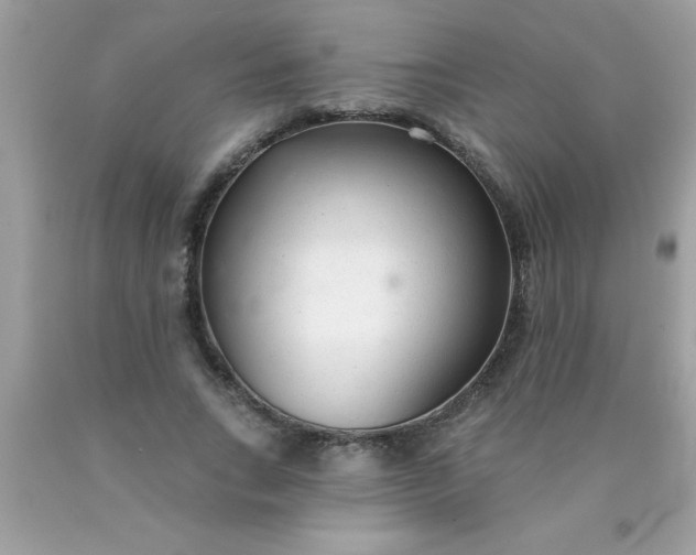 X0000090460735200707272236