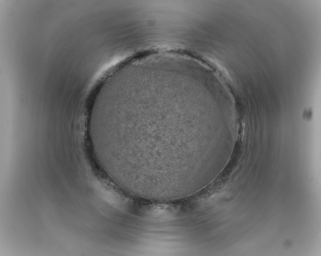 X0000090460736200707272236