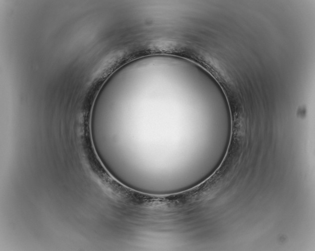 X0000090460738200707272236