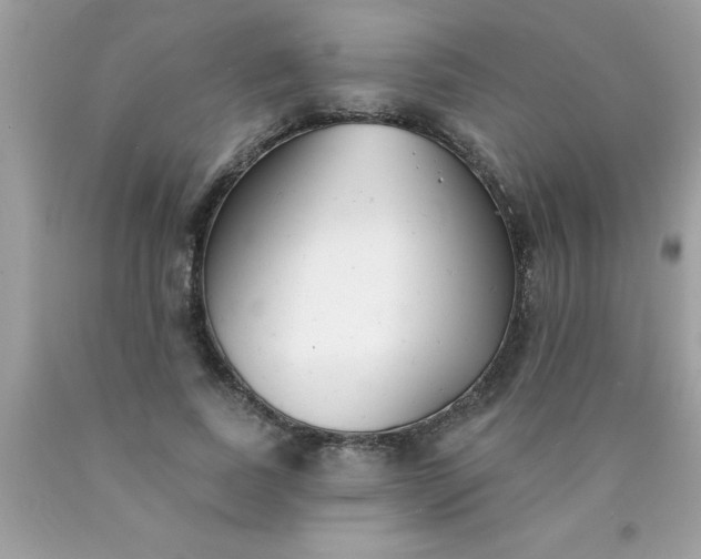 X0000090460739200707272236