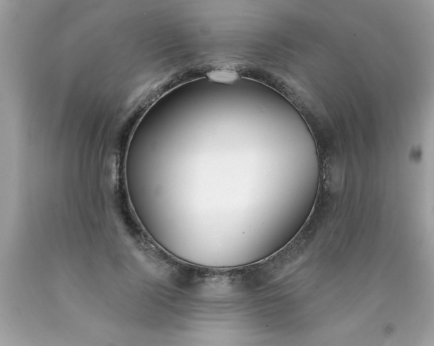 X0000090460740200707272236