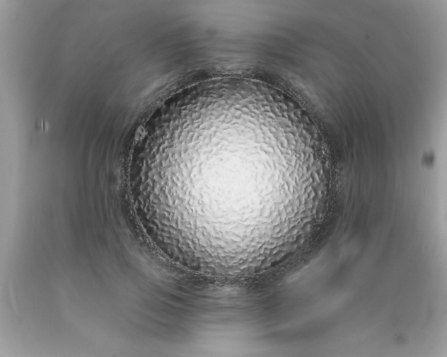 X0000090460741200707272236