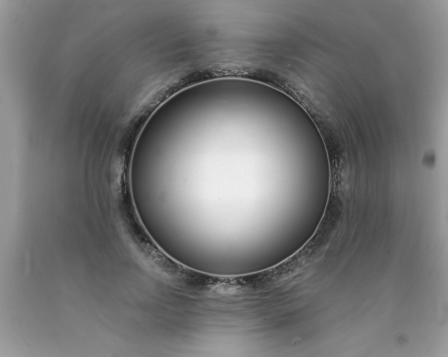 X0000090460742200707272236
