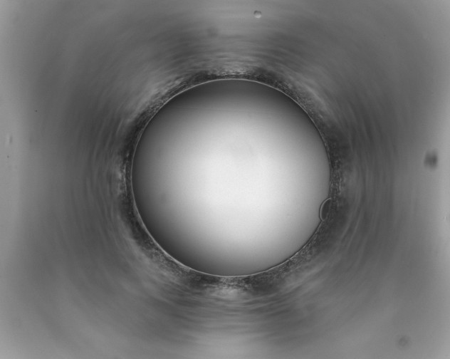 X0000090460743200707272236