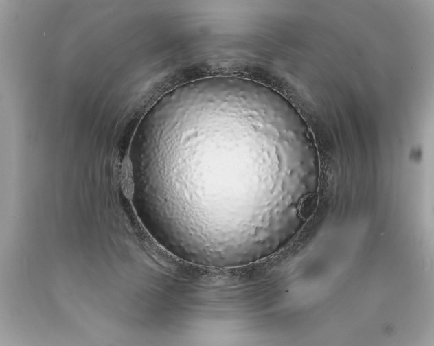 X0000090460745200707272236