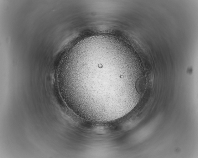 X0000090460746200707272236