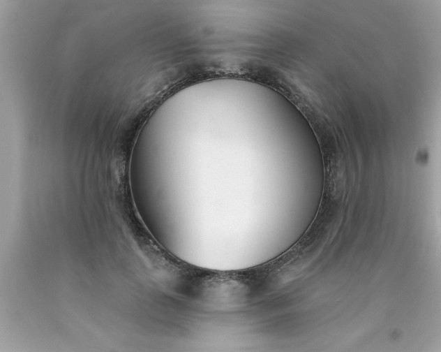 X0000090460747200707272236