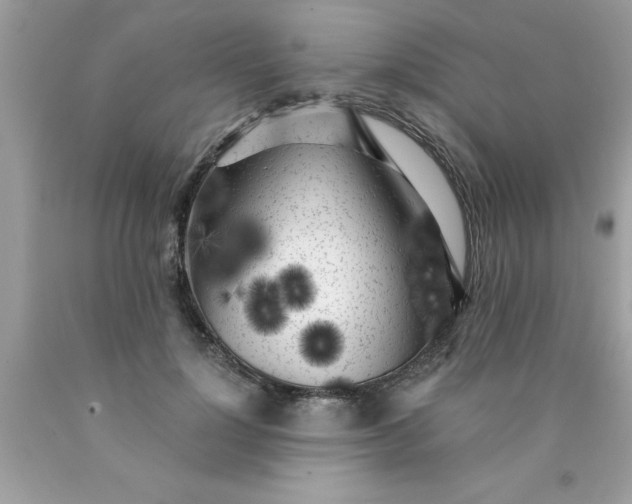 X0000090460748200707272236