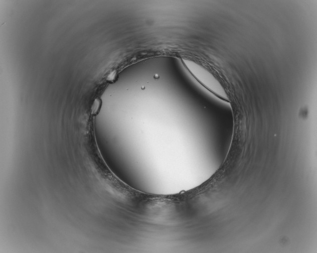 X0000090460750200707272236