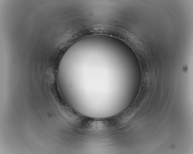 X0000090460751200707272236