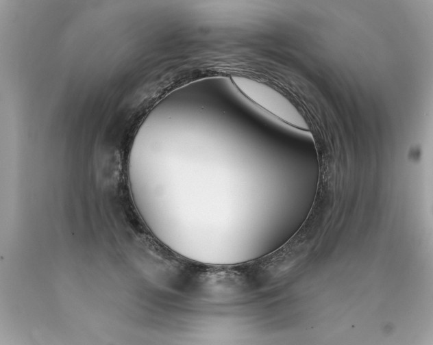 X0000090460752200707272236