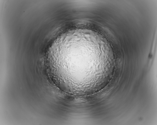 X0000090460753200707272236