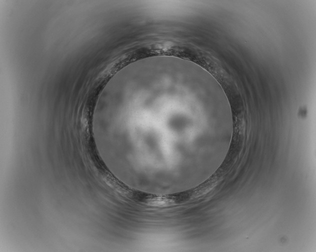 X0000090460754200707272236