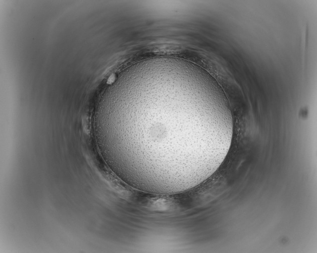 X0000090460755200707272236