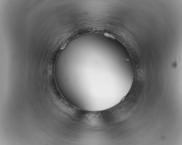 X0000090460756200707272236