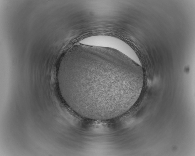 X0000090460760200707272236