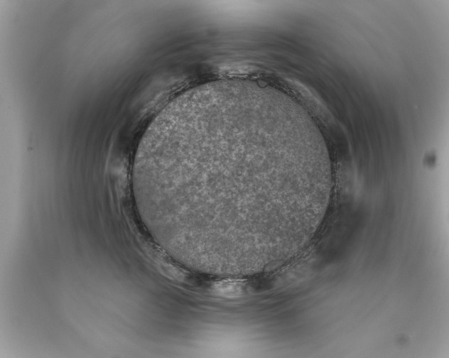 X0000090460761200707272236