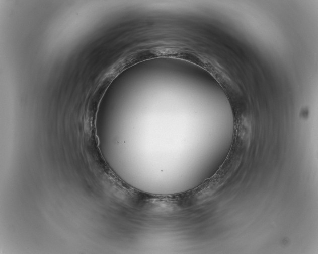 X0000090460763200707272236