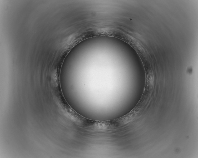 X0000090460764200707272236