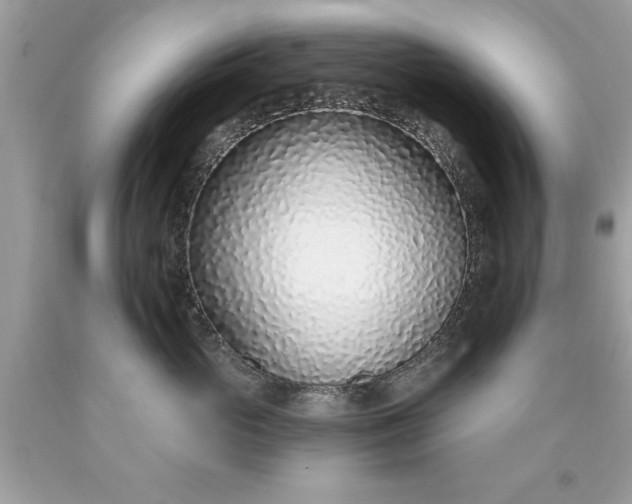 X0000090460765200707272236