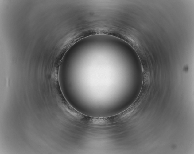 X0000090460766200707272236