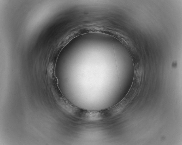 X0000090460767200707272236