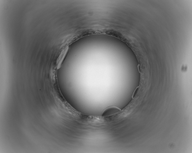 X0000090460768200707272236