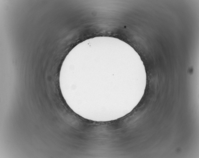 X0000090460769200707272236
