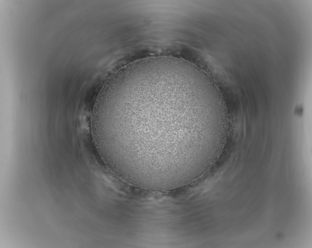 X0000090460770200707272236